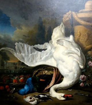 Old master painting still life with dead swan