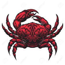Cancer the crab